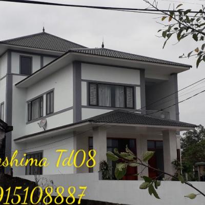 Gachngoihosana Gacngoiquangbinh Bosuutapnhadep 2