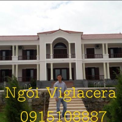 Gachngoihosana Gacngoiquangbinh Bosuutapnhadep 8