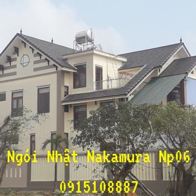 Gachngoihosana Gachngoiquangbinh 20190316 03