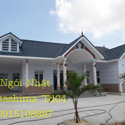 Gachngoihosana Gachngoiquangbinh 20190316 05