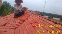 062d8468e09d03c35a8c